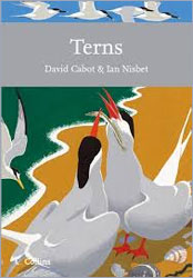TERNS 1