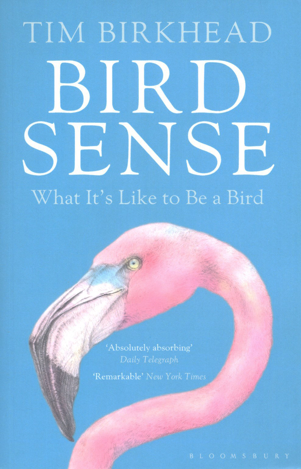 BIRD SENSE. WHAT IT IS LIKE TO BE A BIRD 1