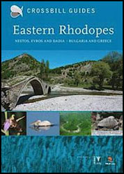 CROSSBILL GUIDES. EASTERN RHODOPES 1