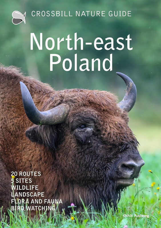 CROSSBILL GUIDES. NORTH-EAST POLAND 1