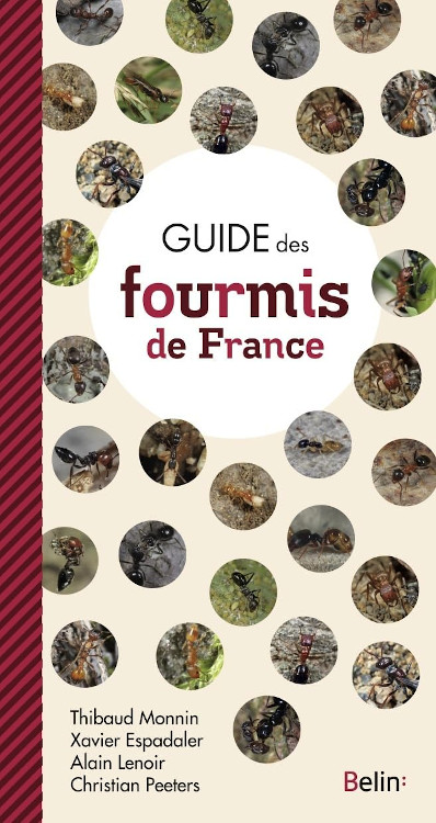 GUIDE DES FOURMIS DE FRANCE 1