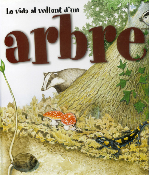 LA VIDA AL VOLTANT D'UN ARBRE 1