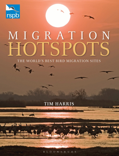 MIGRATION HOTSPOTS. THE WORLD'S BEST BIRD MIGRATION SITES 1