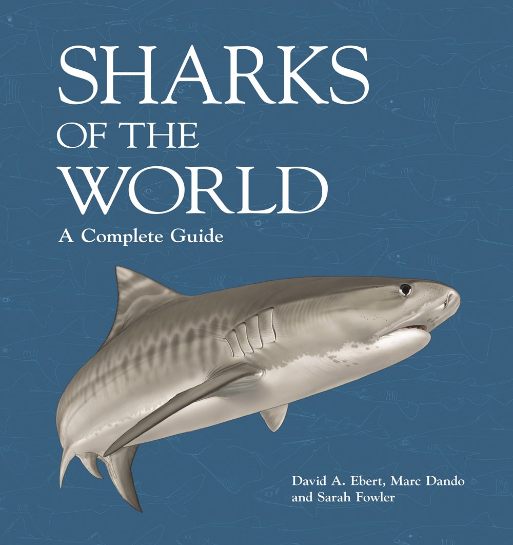 SHARKS OF THE WORLD. A COMPLETE GUIDE 1