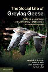 THE SOCIAL LIFE OF GREYLAG GEESE 1
