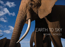 EARTH TO SKY. AMONG AFRICAN ELEPHANTS 1