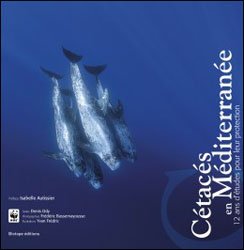CÉTACÉS EN MÉDITERRANÉE 1