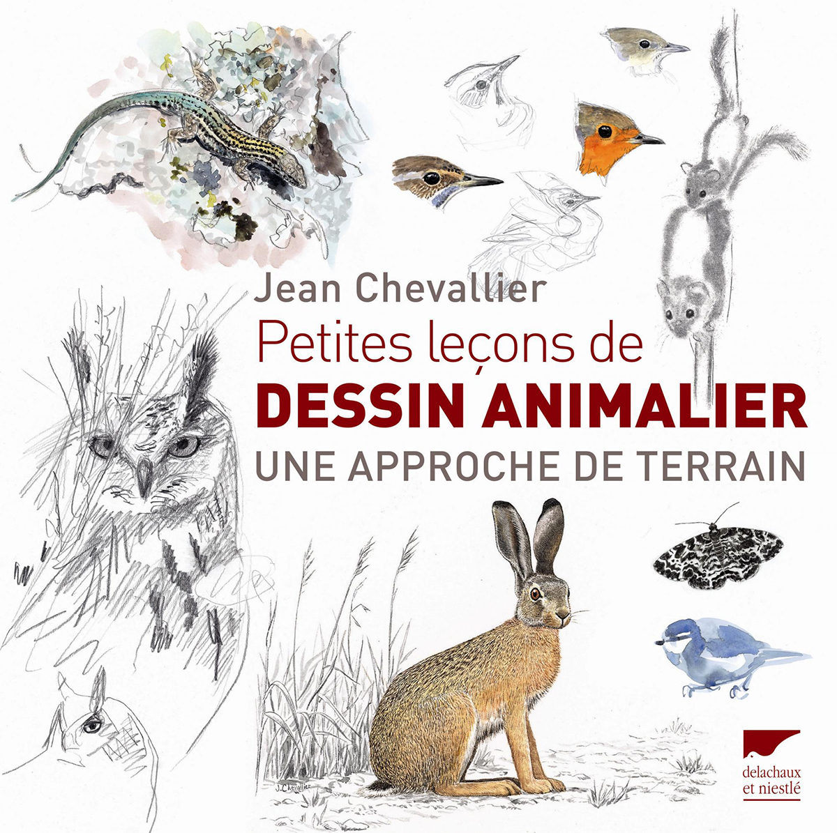 PETITES LEÇONS DE DESSIN ANIMALIER. UNE APPROCHE DE TERRAIN 1