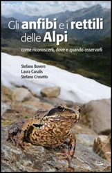 GLI ANFIBI E I RETTILI DELLE ALPI. COME RICONOSCERI, DOVE E QUANDO OSSERVARLI 1