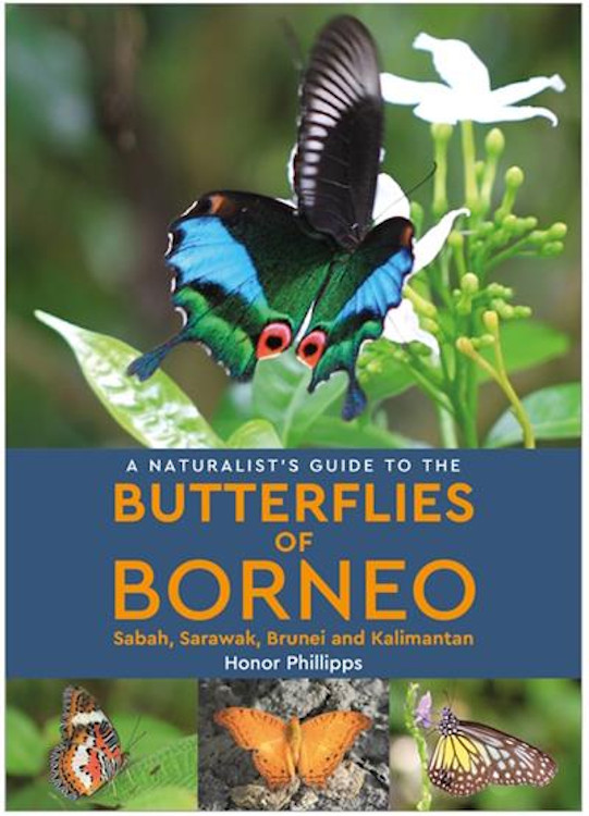 A NATURALIST'S GUIDE TO THE BUTTERFLIES OF BORNEO SABAH, SARAWAK, BRUNEI AND KALIMATAN 1