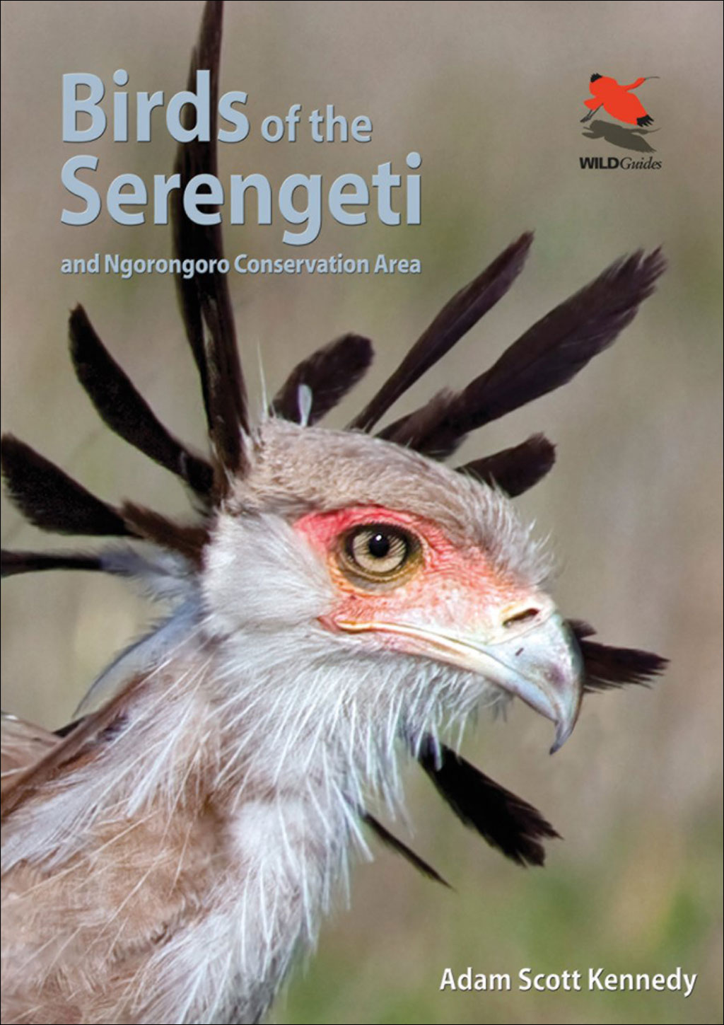 BIRDS OF THE SERENGETI AND NGORONGORO CONSERVATION AREA 1