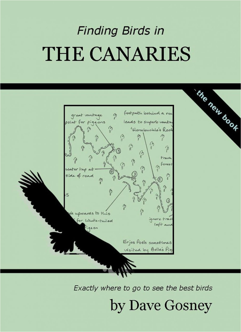 FINDING BIRDS IN THE CANARIES 1