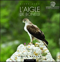 VIVRE AVEC L'AIGLE DE BONELLI 1