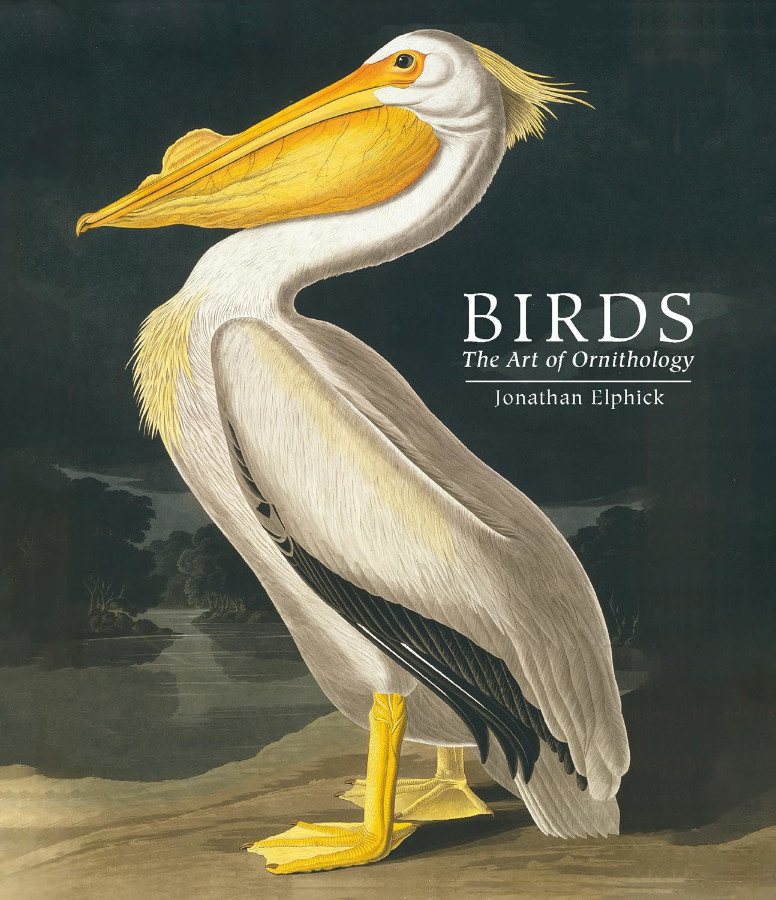 BIRDS. THE ART OF ORNITHOLOGY 1