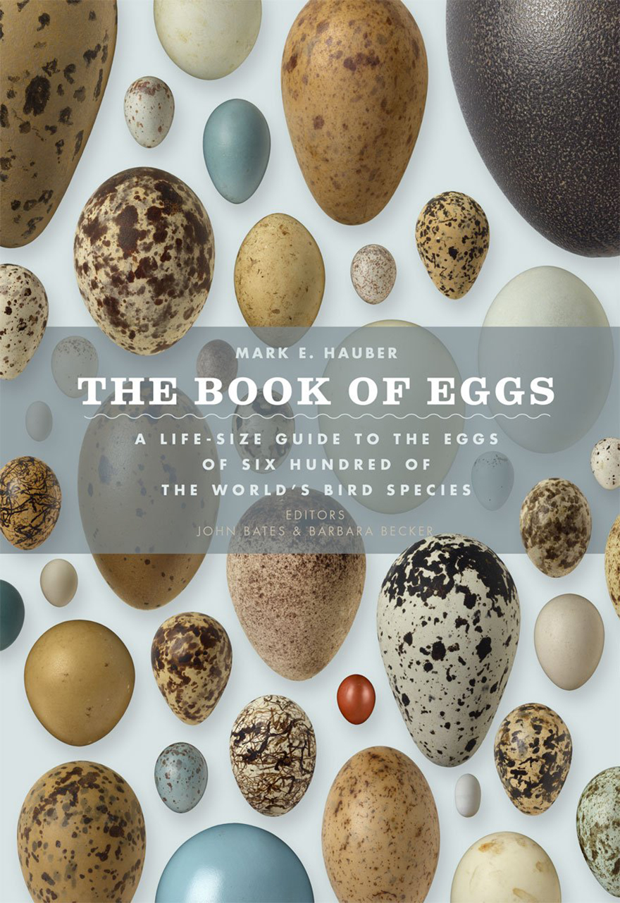 THE BOOK OF EGGS. A LIFE-SIZE GUIDE TO THE EGGS OF SIX HUNDRED OF THE WORLD'S BIRD SPECIES 1