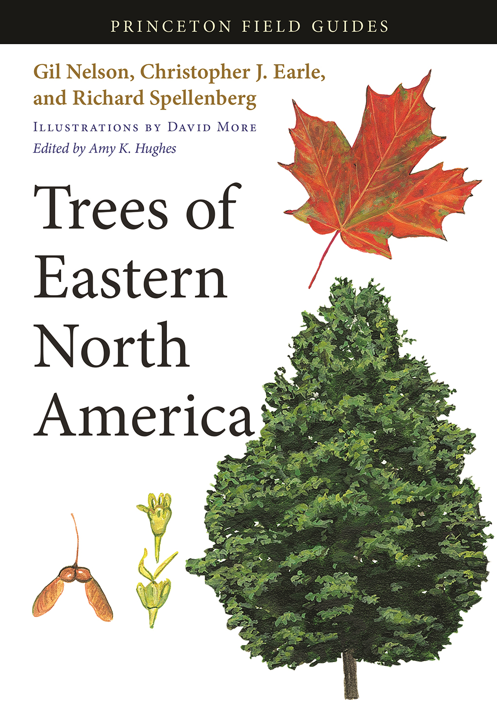 TREES OF EASTERN NORTH AMERICA 1
