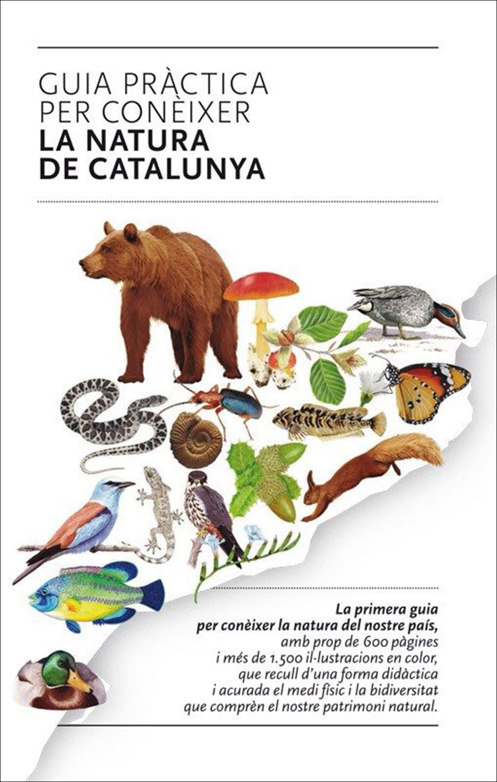 GUIA PRÀCTICA PER A CONÈIXER LA NATURA DE CATALUNYA 1