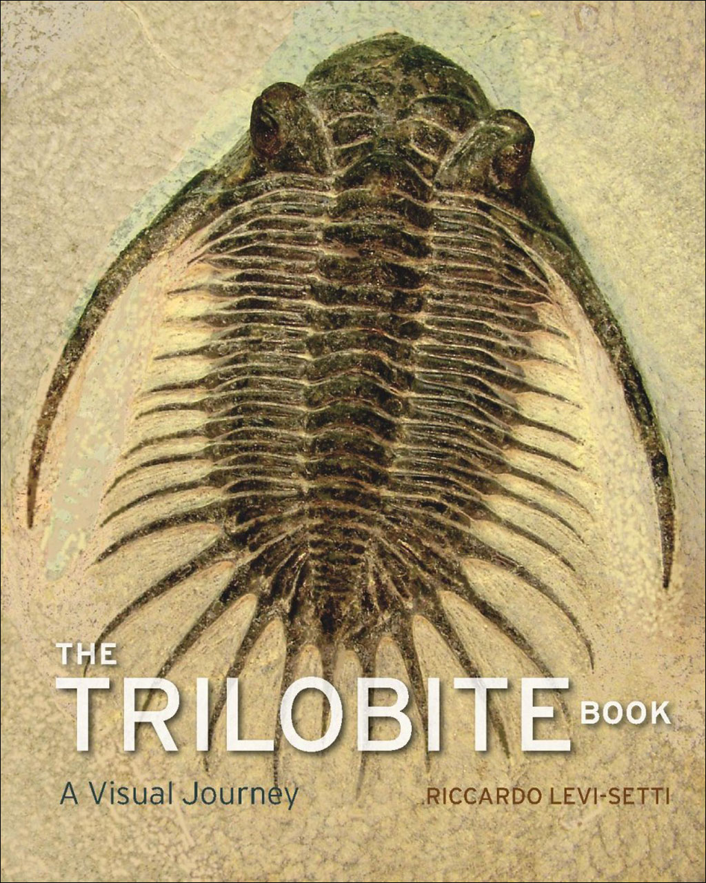 THE TRILOBITE BOOK. A VISUAL JOURNEY 1