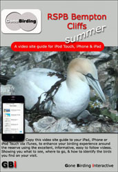 RSPB BEMPTON CLIFFS. SUMMER. A VIDEO SITE GUIDE FOR IPHONE, IPAD &AMP; IPOD TOUCH 1