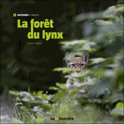 LA FORÊT DU LYNX 1