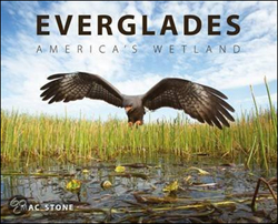EVERGLADES. AMERICA'S WETLAND 1