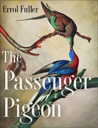 THE PASSENGER PIGEON 1
