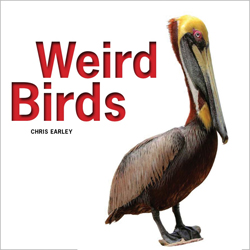 WEIRD BIRDS 1