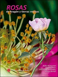 ROSAS DE ARAGÓN Y TIERRAS VECINAS 1