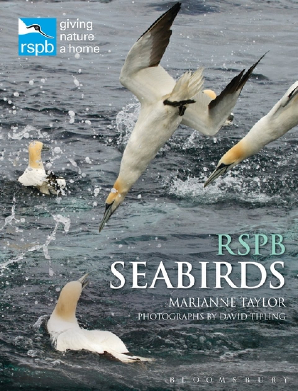 RSPB SEABIRDS 1