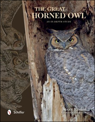 THE GREAT HORNED OWL. AN IN-DEPTH STUDY 1
