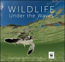 WILDLIFE UNDER THE WAVES 1