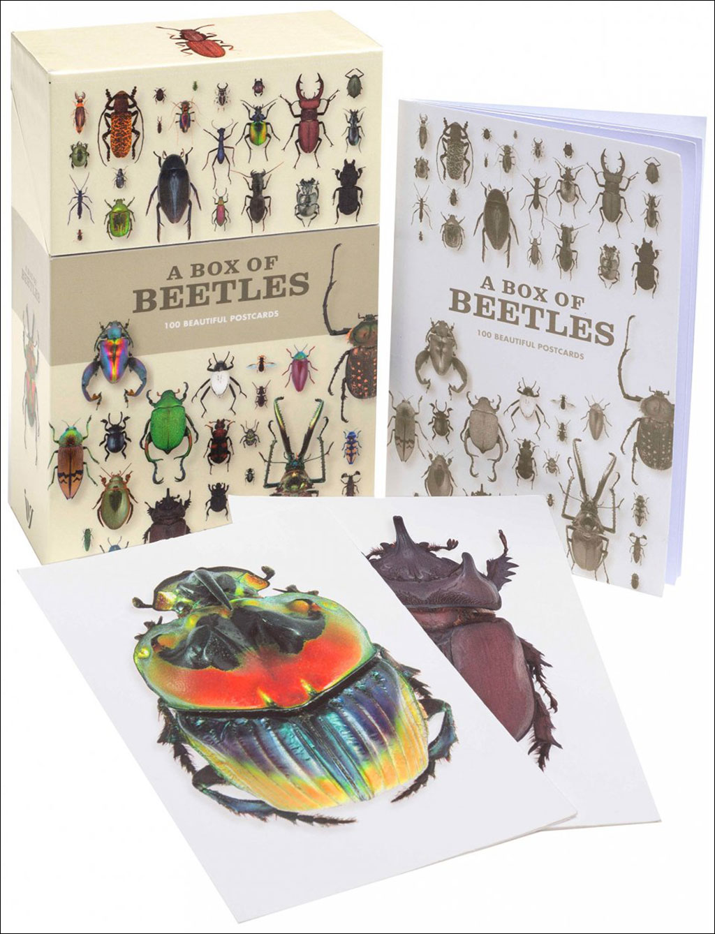 A BOX OF BEETLES 100 BEAUTIFUL POSTCARDS 1
