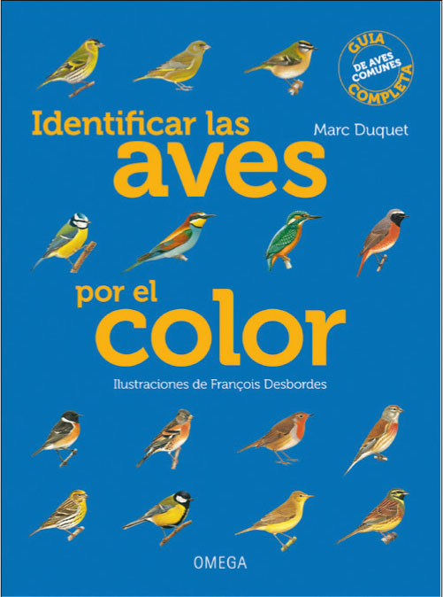 IDENTIFICAR LAS AVES POR EL COLOR 1