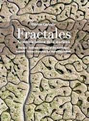 FRACTALES. ANATOMÍA ÍNTIMA DE UNA MARISMA 1