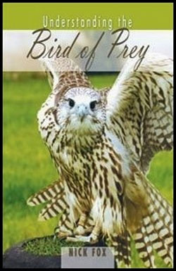 UNDERSTANDING THE BIRD OF PREY 1
