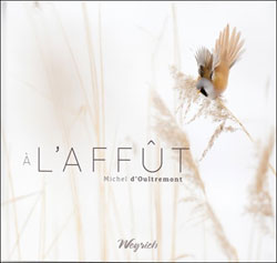À L'AFFÛT 1