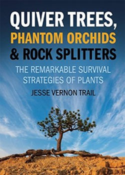 QUIVER TREES, PHANTOM ORCHIDS &AMP; ROCK SPLITTERS. THE REMARKABLE SURVIVAL STRATEGIES OF PLANTS 1