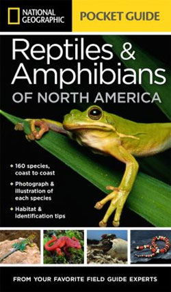 NATIONAL GEOGRAPHIC POCKET GUIDE. REPTILES &AMP; AMPHIBIANS OF NORTH AMERICA 1