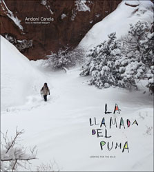 LA LLAMADA DEL PUMA. LOOKING FOR THE WILD 1
