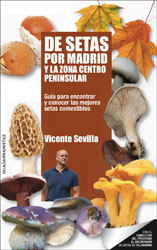 DE SETAS POR MADRID Y LA ZONA CENTRO PENINSULAR 1