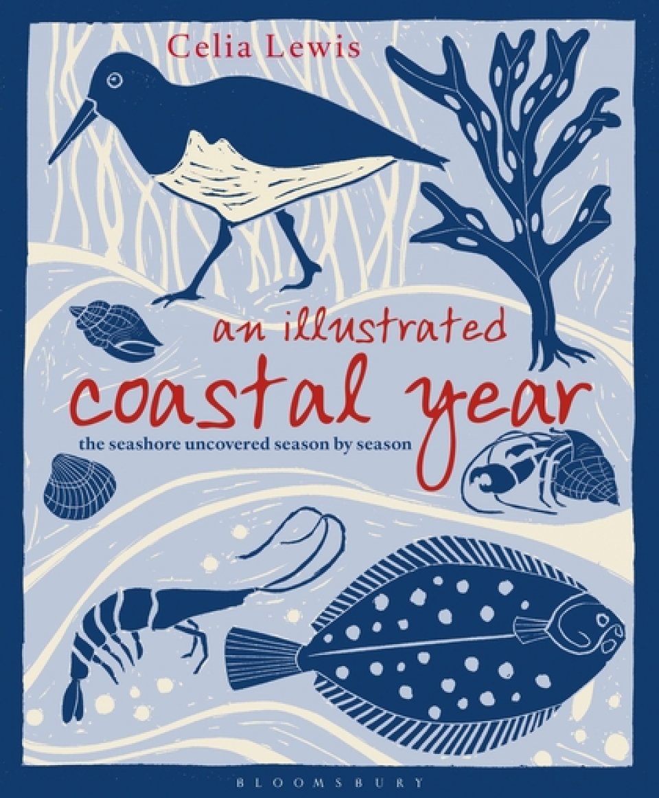 AN ILLUSTRATED COASTAL YEAR. THE SEASHORE UNCOVERED SEASON BY SEASON 1
