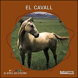 EL CAVALL. EL BOSC DE COLORS 1