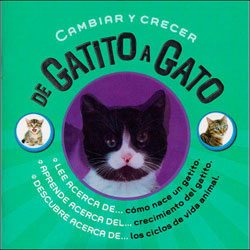 CAMBIAR Y CRECER. DE GATITO A GATO 1