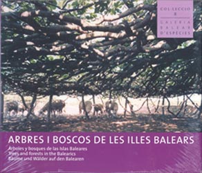 ARBRES I BOSCOS DE LES ILLES BALEARS 1