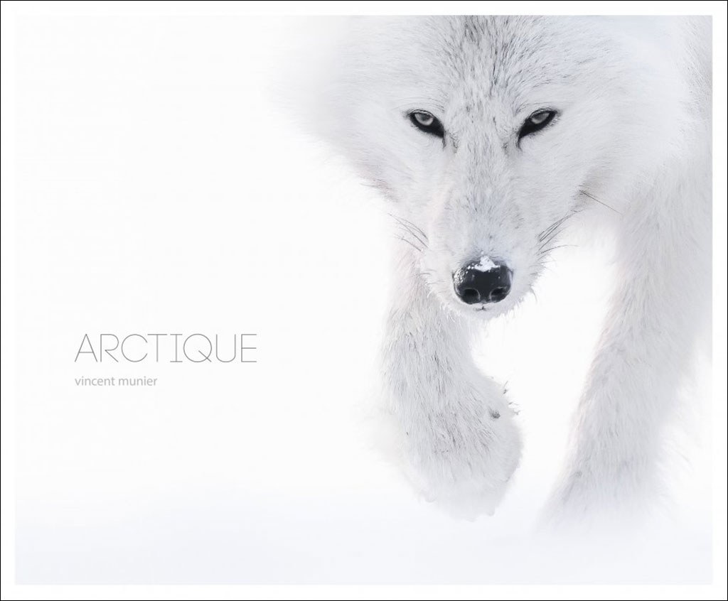 ARCTIQUE 1