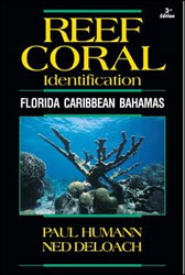 REEF CORAL IDENTIFICATION. FLORIDA, CARIBBEAN, BAHAMAS 1