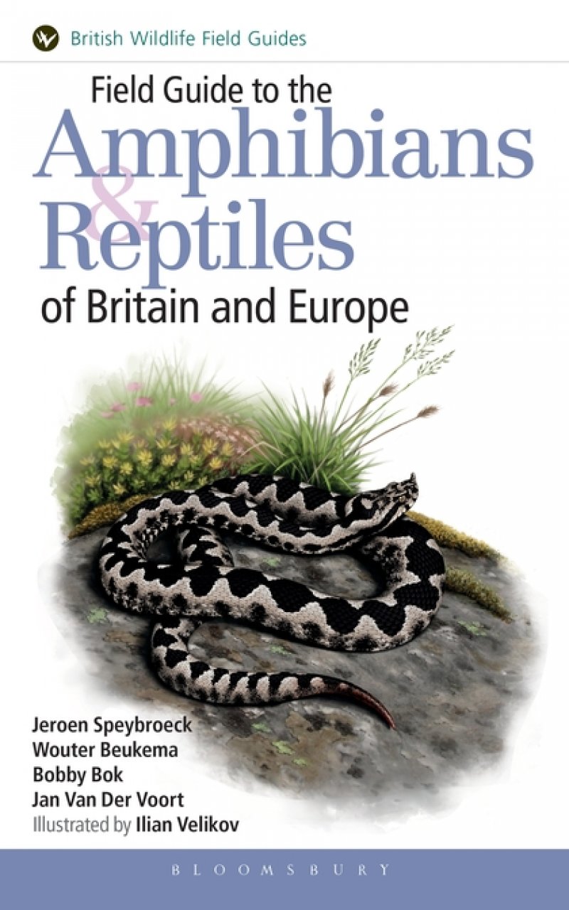 FIELD GUIDE TO THE AMPHIBIANS &AMP; REPTILES OF BRITAIN AND EUROPE 1
