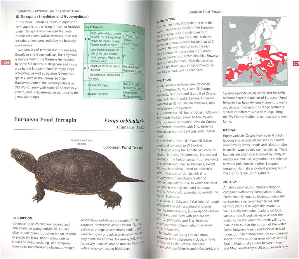 FIELD GUIDE TO THE AMPHIBIANS &AMP; REPTILES OF BRITAIN AND EUROPE 4