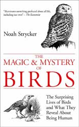 THE MAGIC &AMP; MYSTERY OF BIRDS: THE SURPRISING LIVES OF BIRDS AND WHAT THEY REVEAL ABOUT BEING HUMAN 1