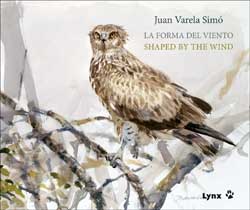 LA FORMA DEL VIENTO 1